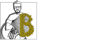 Impianti Basetti